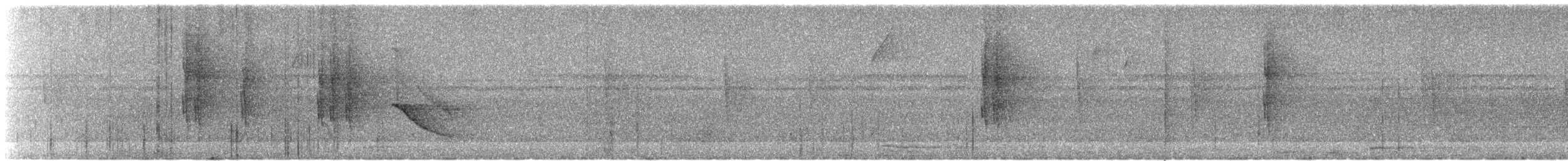 Dreibinden-Ameisenvogel - ML619950897