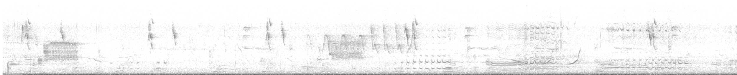 gråstrupedykker - ML619952627