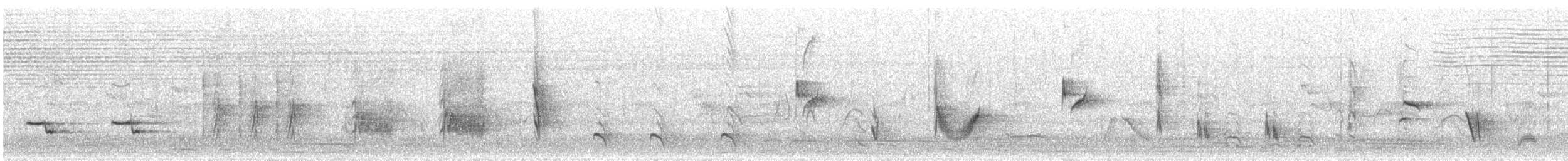Cuitlacoche Ocelado - ML619953820