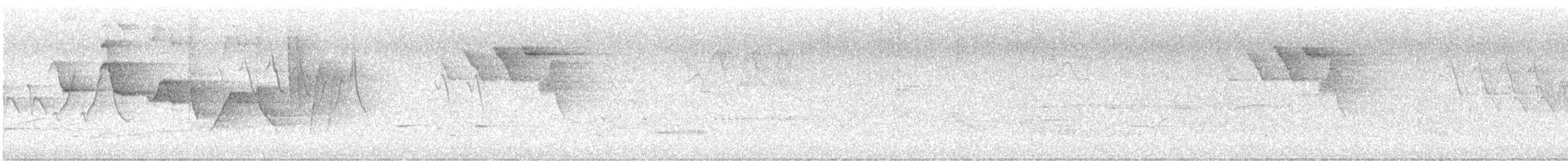 Трясогузковый певун - ML619955073