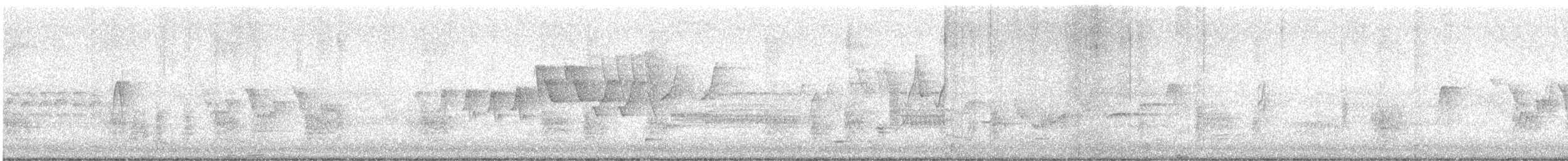 キバラメジロハエトリ - ML619959490