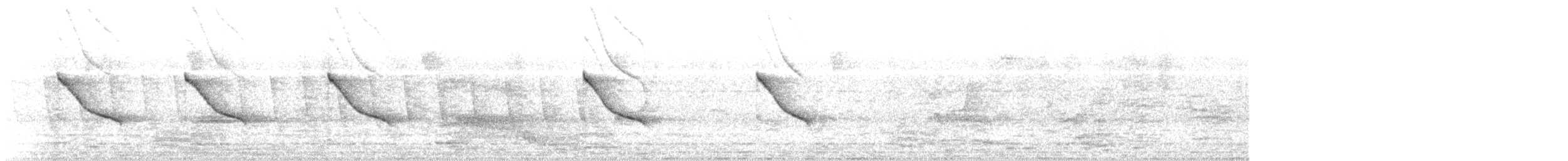 langhaleskredderfugl - ML619960198
