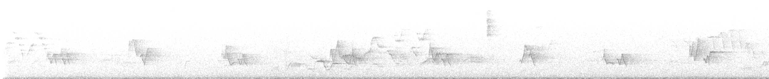 Дрізд-короткодзьоб Cвенсона - ML619960565