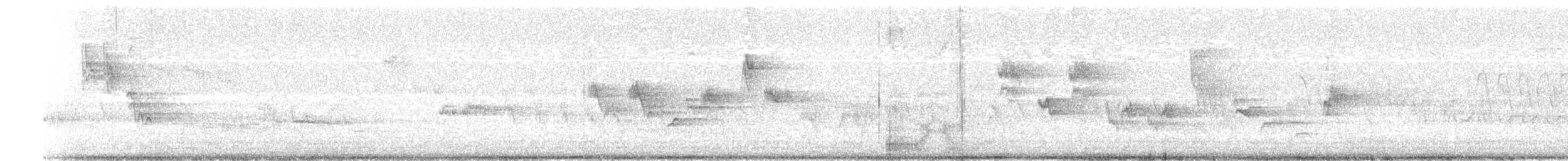 svarthvit fluesnapper - ML619960919