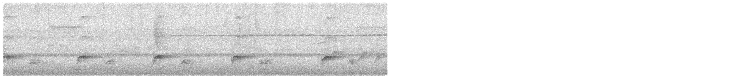 Troglodyte à poitrine blanche - ML619960974