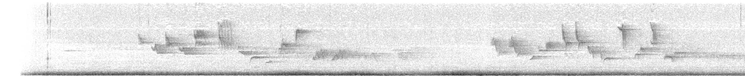 svarthvit fluesnapper - ML619961179