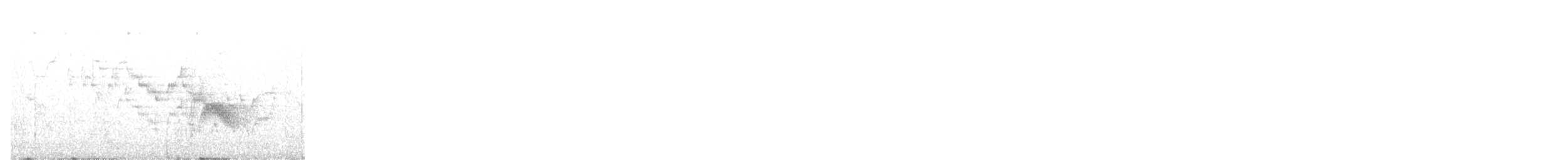 Bicknell's Thrush - ML619961588