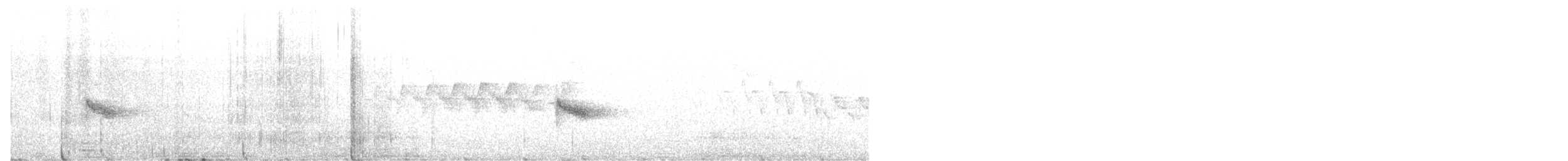 Bicknell's Thrush - ML619961589