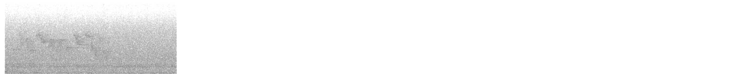 Canada Warbler - ML619961619