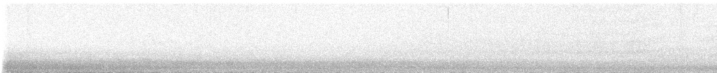 lesňáček černobílý - ML619961667