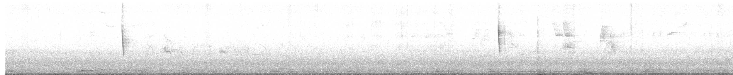 svarthetteparula - ML619962715