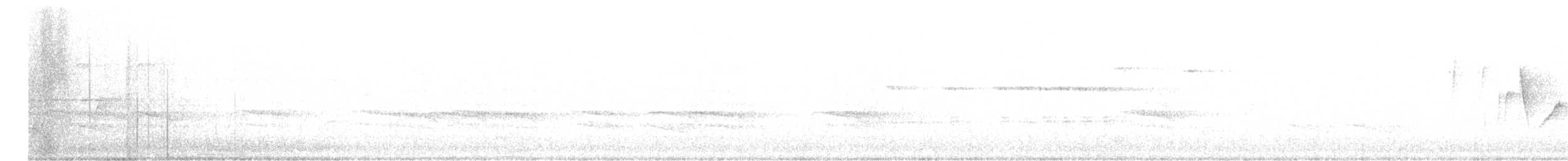 Canada Warbler - ML619963038