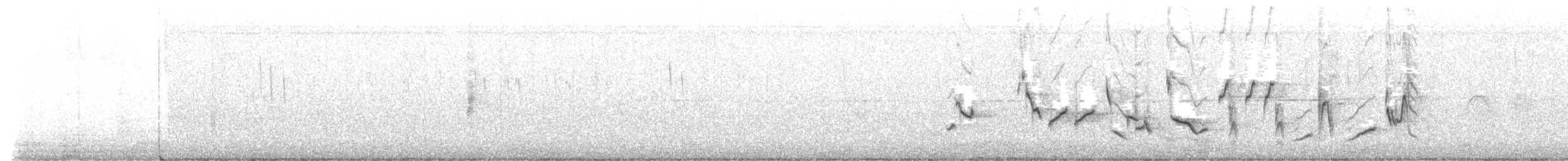 Oriole des vergers - ML619963568