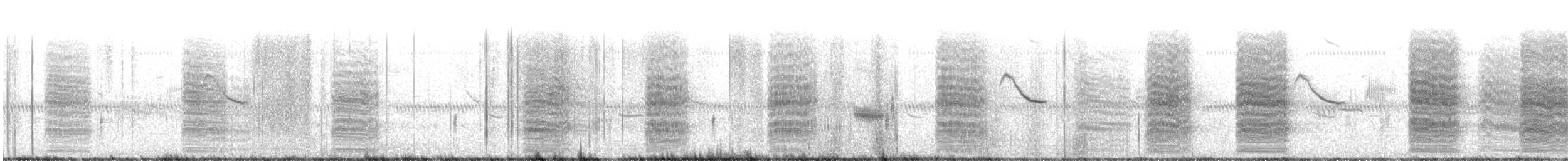 Forster's Tern - ML619964470