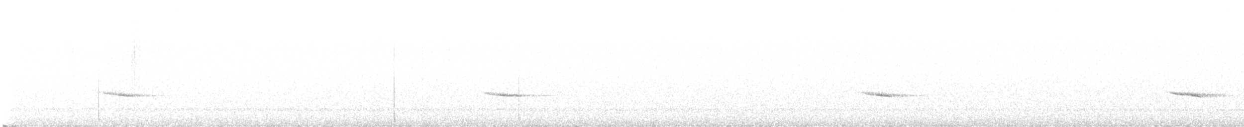 Дрізд-короткодзьоб плямистоволий - ML619964787