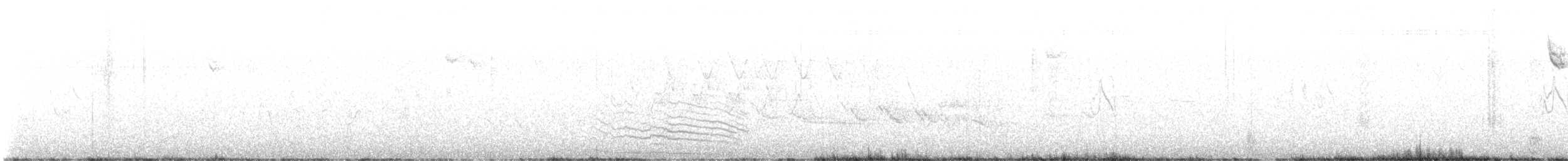 jeřábek kanadský - ML619965372
