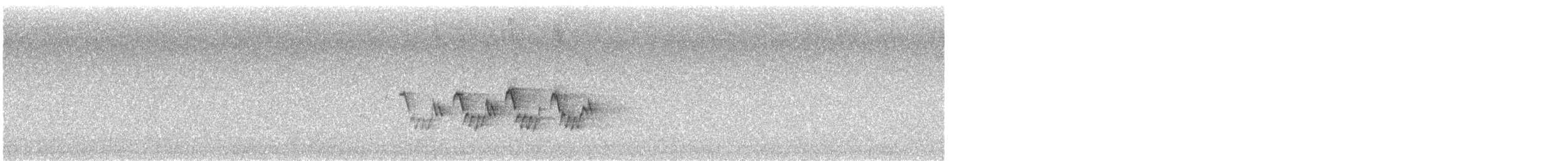 svartbrystparula - ML619965466