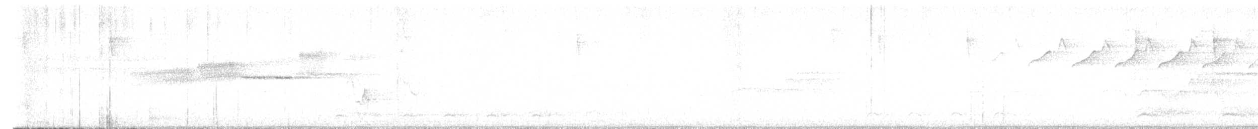 Paruline de Swainson - ML619965968