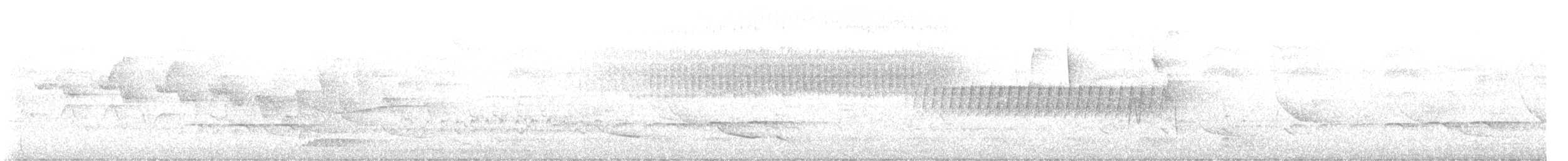 Paruline vermivore - ML619968508