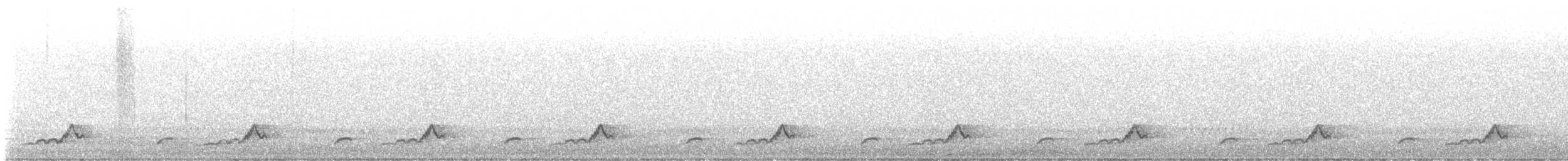 Schwarzkehl-Nachtschwalbe - ML619969906