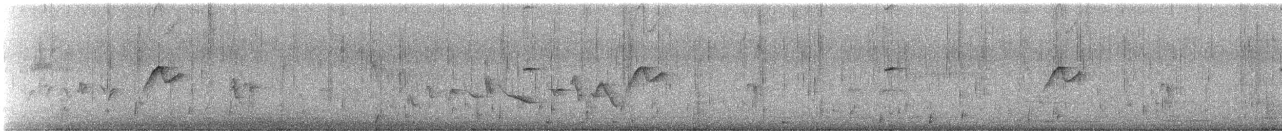 Batı Amerika Sinekkapanı (occidentalis/hellmayri) - ML619970415