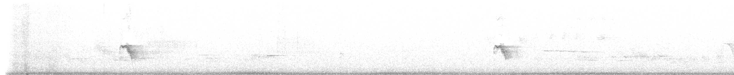 gulbrynkjernebiter - ML619970821