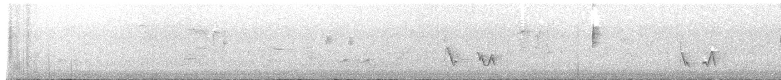 Vireo Bigotudo - ML619971428