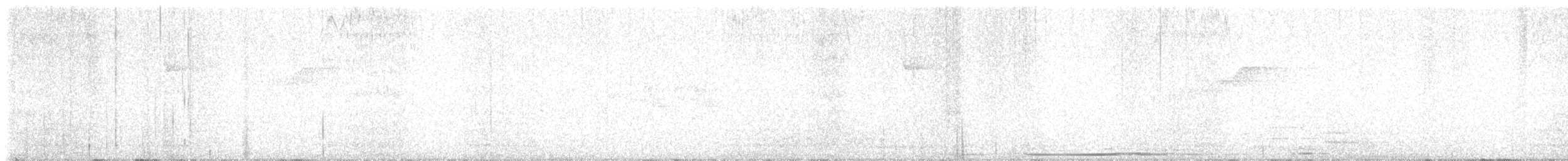 holub bledočelý - ML619971489
