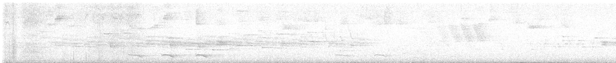 Trogon rosalba - ML619971648