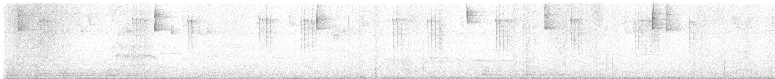 Colibri à oreilles blanches - ML619971937
