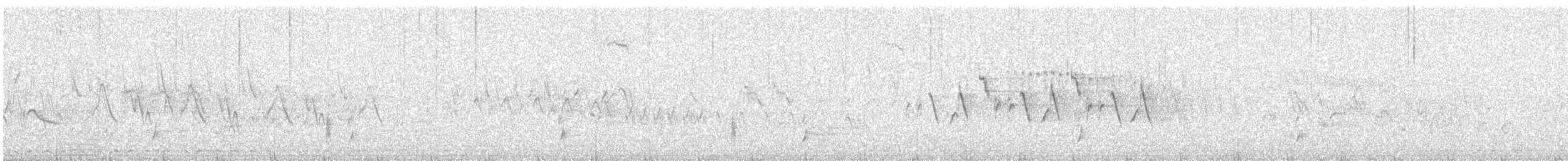 Paruline à calotte noire - ML619972071