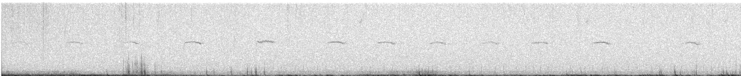 Troglodyte des volcans - ML619972226