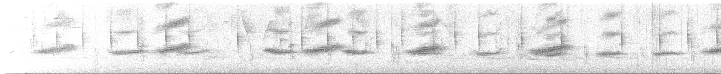 Тауї плямистий (підвид macronyx) - ML619973264