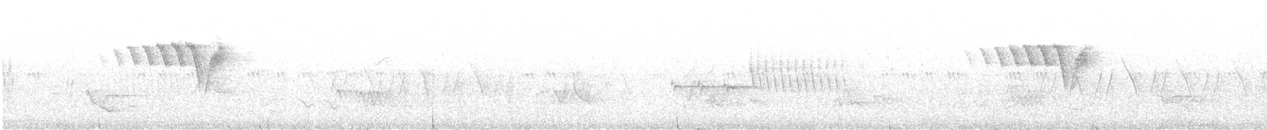 rødstjertparula - ML619973574