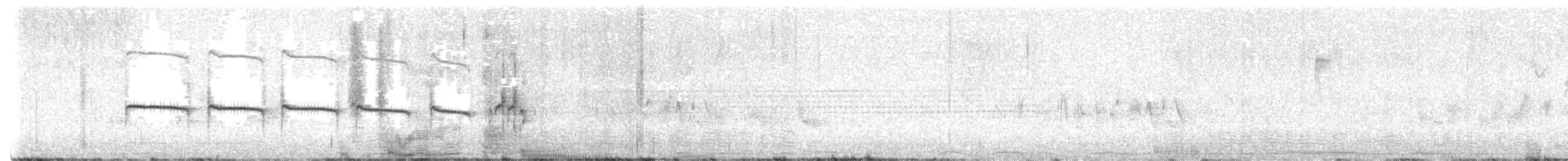 Тиранчик-тонкодзьоб північний - ML619975708