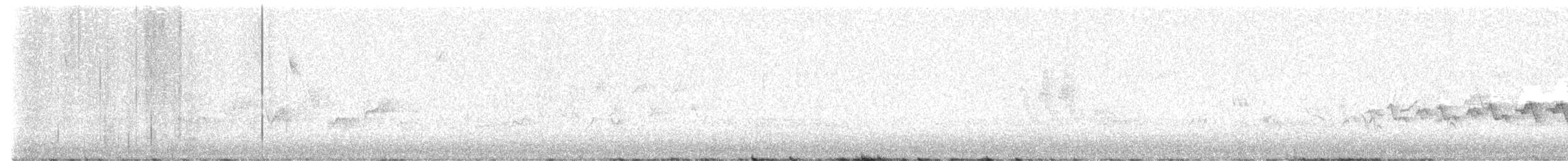 Чернітка білокрила - ML619976350