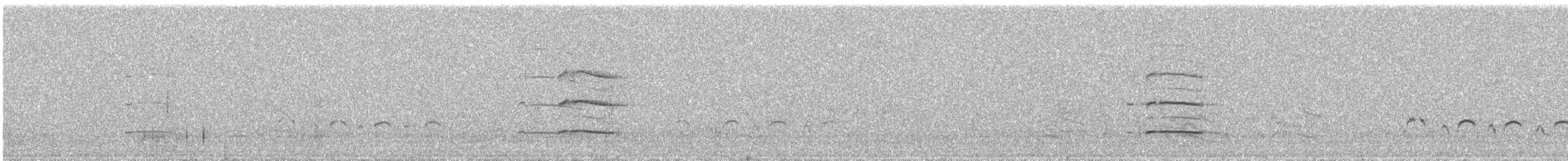 kalous ušatý - ML619976354