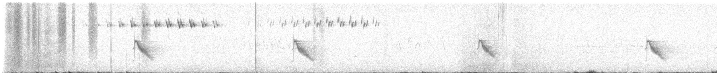 Bicknell Bülbül Ardıcı - ML619976489