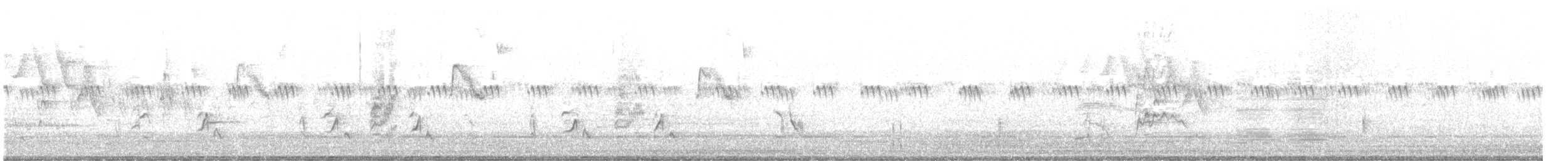 Пересмішник сірий - ML619977106