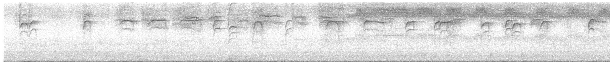 střízlík karolínský [skupina ludovicianus] - ML619977107