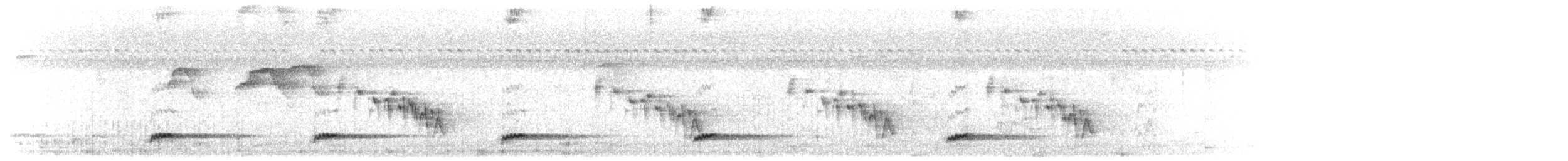 Kara Kulaklı Barbet - ML619977294
