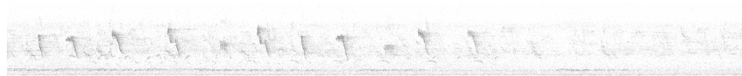 holoubek vlnkovaný - ML619977422