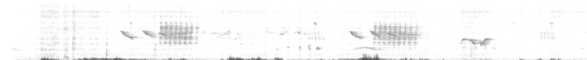 Weißbrauenschnäpper - ML619978181