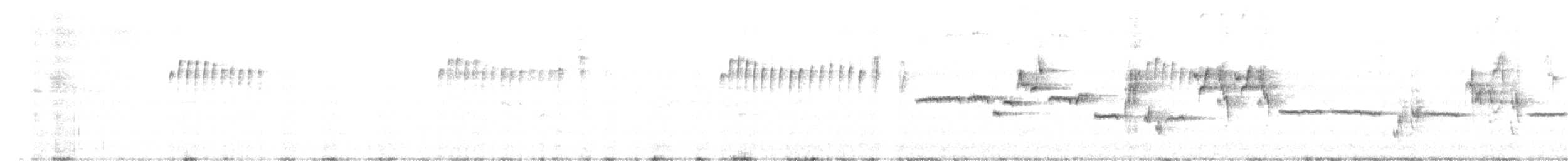 himalayakortvinge - ML619978184