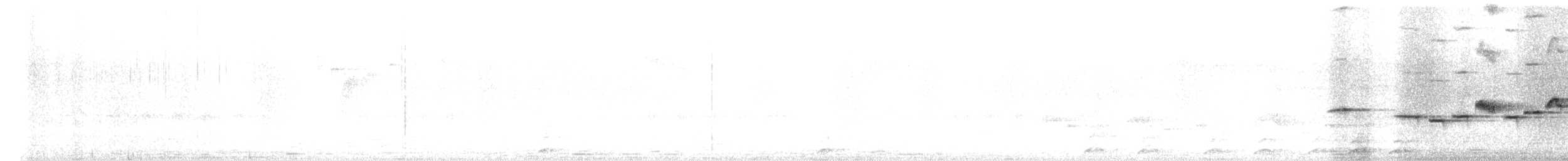Petite Brachyptère - ML619978244
