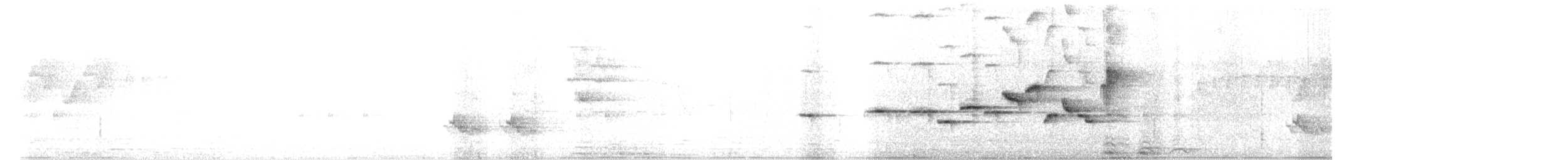 Petite Brachyptère - ML619978246