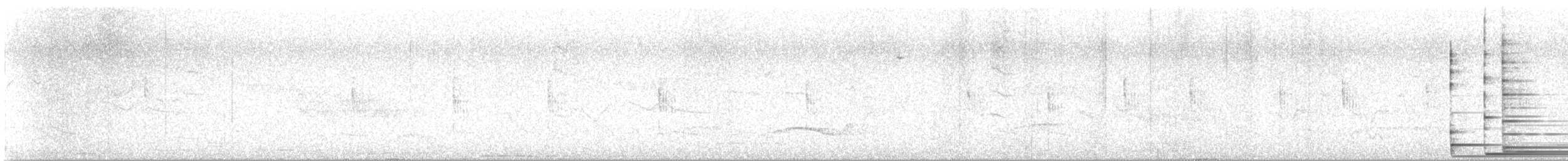 Оливковая широкохвостка - ML619978258