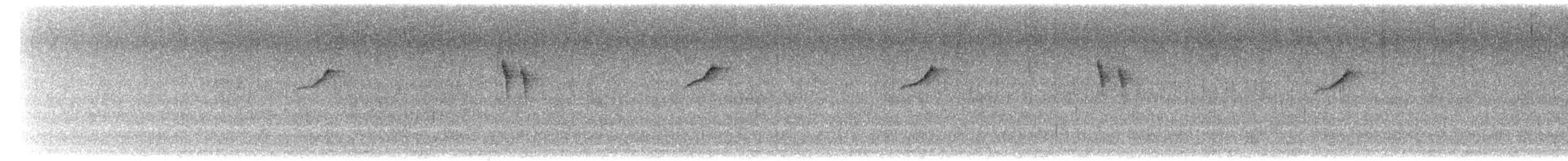 Gray Wagtail - ML619978628