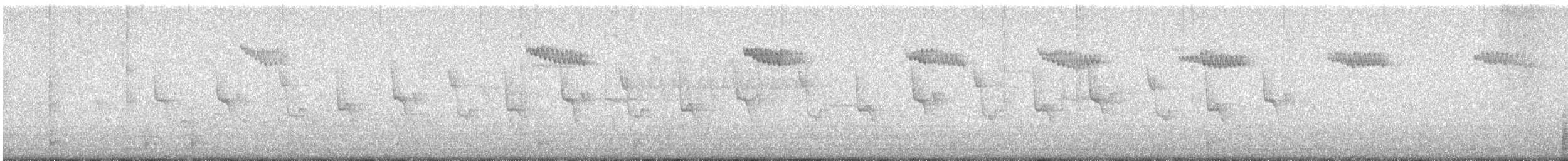 Хөвчийн бялзуумар - ML619978962