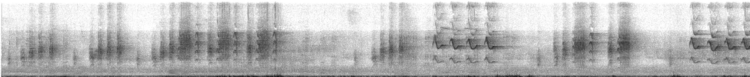 Icterine Warbler - ML619979891
